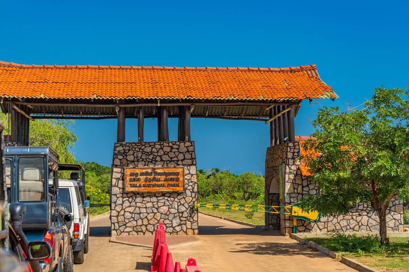Yala National Park